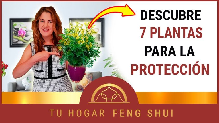 7 especies vegetales ideales para embellecer tu hogar durante las festividades decembrinas