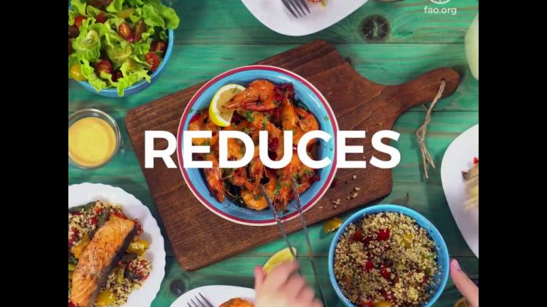 Redistribuyen alimentos desechados alimentando a más de 350 mil individuos diariamente