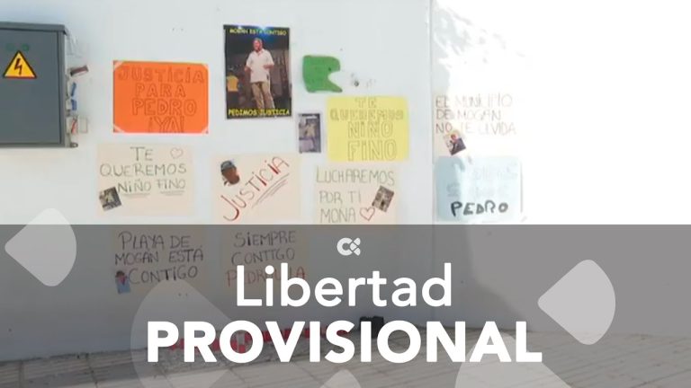 Un video ayuda a salvar a mono carayá víctima de abuso en Santa Cruz: arrestan a dos sospechosos