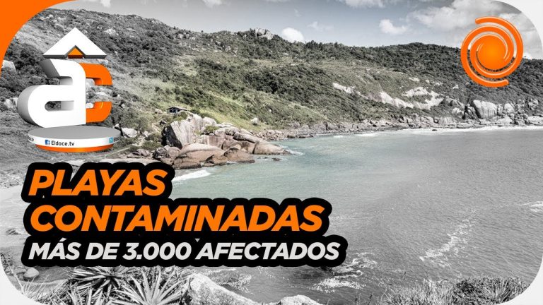 Apps para encontrar playas seguras y no contaminadas en Brasil durante casos de gastroenteritis