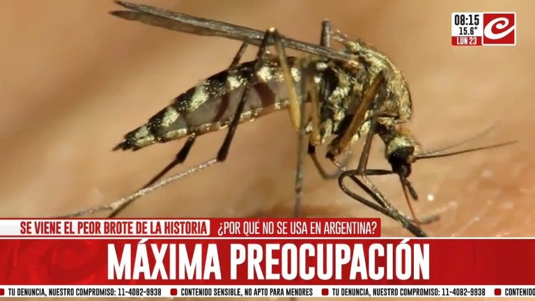 Descubren una nueva forma de combatir el virus del dengue y la prueban como tratamiento médico