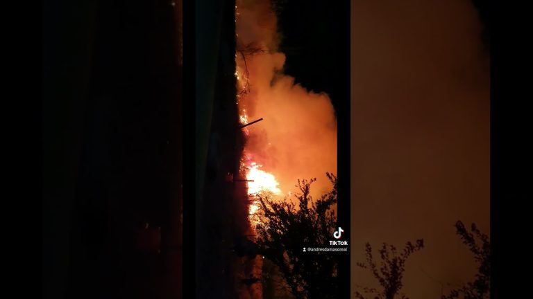 Fuego arrasa zona forestal en Tandil: dificultades del terreno y clima desafían su control