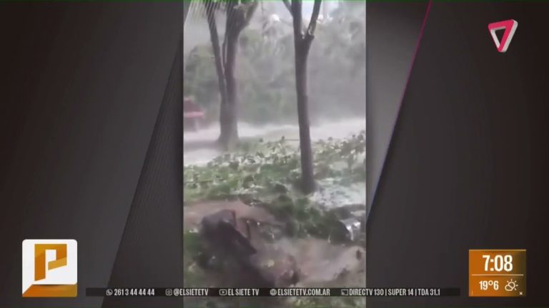 Impresionante tormenta de granizo en Mendoza causa daños significativos y graves pérdidas económicas