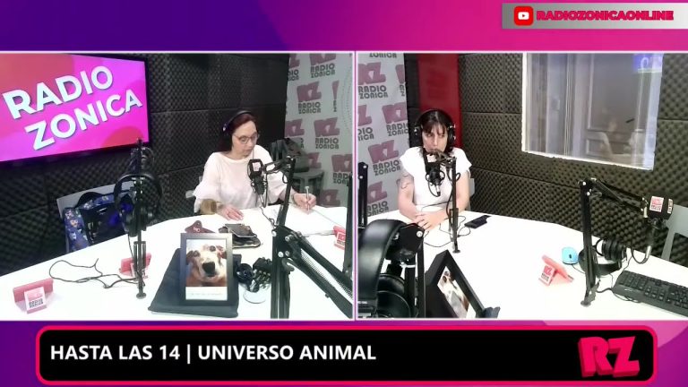 La justicia niega la suspensión y permite que 50 monos de laboratorio de CEMIC sean trasladados a África