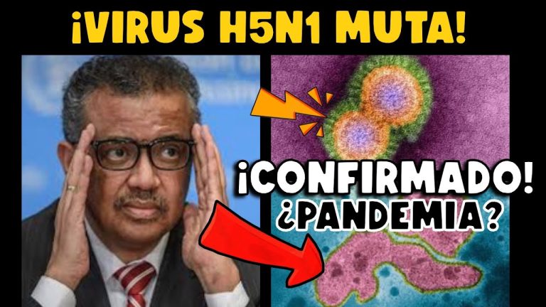 Mutaciones del virus de la gripe aviar en EE.UU.: alertan sobre el posible riesgo de pandemia