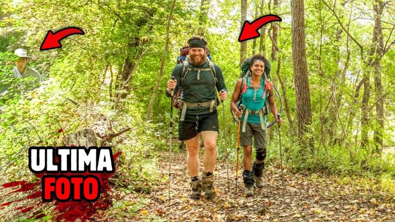 Pérdida de humedales: su desaparición triplica la de los bosques