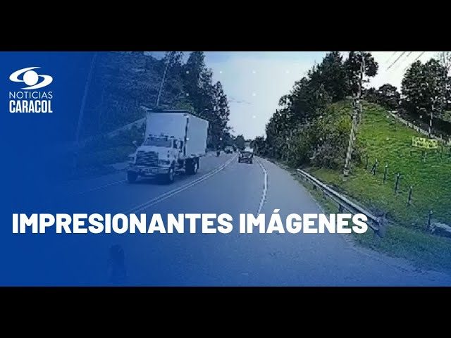 Tragedia en carretera brasile&ntilde;a: ni&ntilde;o de tres a&ntilde;os fallece en accidente rumbo a playas del sur
