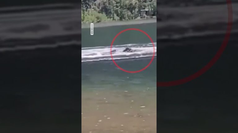 Tragedia en un lago de Neuqu&eacute;n: turista de Buenos Aires fallece tras accidente con tabla de surf debido a falta de habilidades de nado