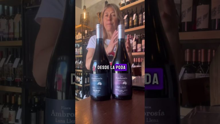 Vinos sostenibles en Argentina: el uso de esti&eacute;rcol, pr&aacute;cticas meditativas y fases lunares en su producci&oacute;n