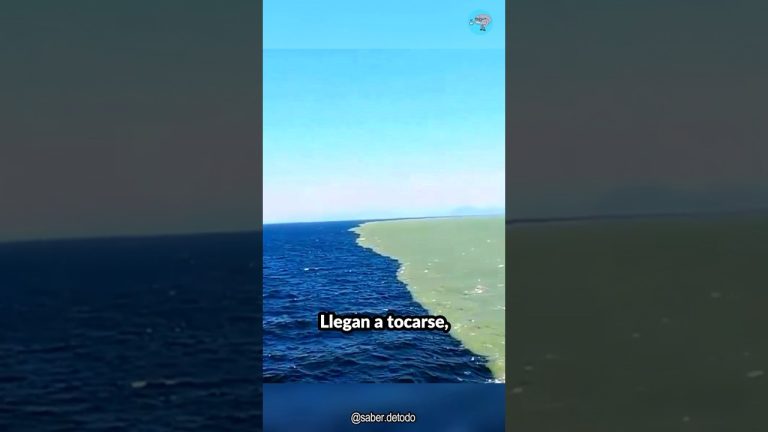 &iquest;Por qu&eacute; las aguas entre dos ciudades de la costa atl&aacute;ntica argentina cambiaron de color?