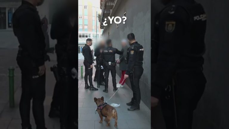 Camioneta mal aparcada ante la sede de una institución causa alerta; policía realiza detonación controlada para abrirla