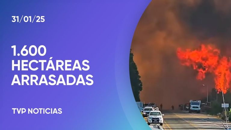 Confirman que los inicios de fuego en dos zonas de la Patagonia fueron provocados