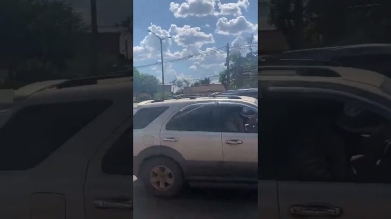 De restauranteur a bombero: el relato de un empresario que combina gastronom&iacute;a con voluntariado en el servicio de incendios