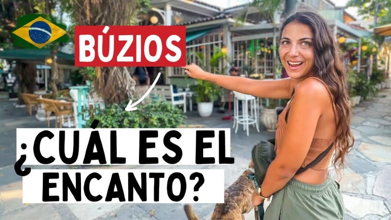 El inesperado descubrimiento de turistas argentinos al regresar de su viaje en Brasil