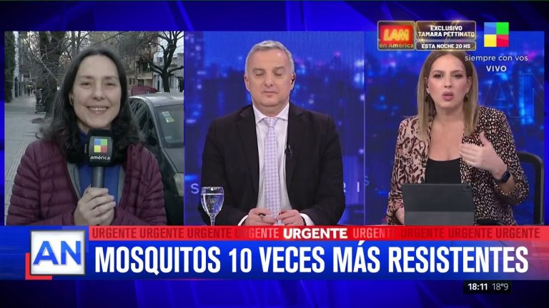 Impacto del turismo y mosquitos: el ministro revela predicciones sobre dengue para el resto del verano