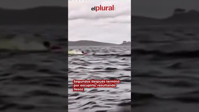 Kayakista relata su experiencia dentro de la boca de una ballena y cómo salió con vida