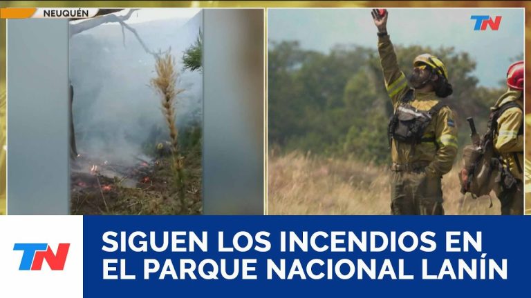 Los incendios en Neuqu&eacute;n se intensifican: m&aacute;s de 15 hect&aacute;reas da&ntilde;adas en el Parque Nacional Lan&iacute;n