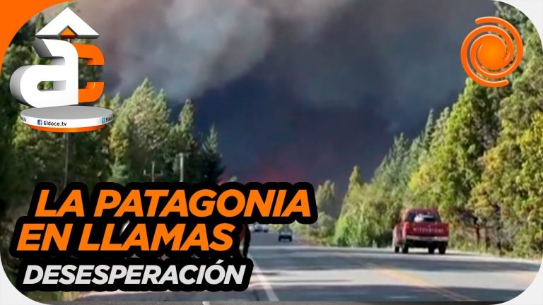 Recompensa millonaria en Chubut por información sobre los responsables de los incendios en la Patagonia