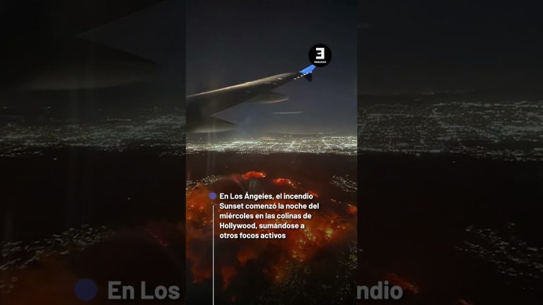 Solicitan declarar estado de emergencia por fuegos en el sur