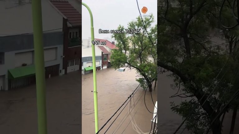 Detalles sobre la búsqueda de abuelos tras el temporal en Bahía Blanca: historia de una mujer que perdió a su padre