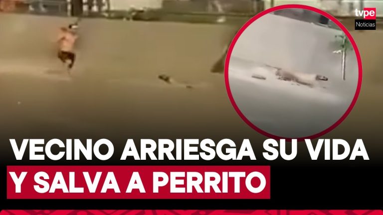 Impactante testimonio de una víctima de las inundaciones en Zárate: “El agua dentro de mi hogar casi me cubre hasta el pecho, y ya es la cuarta ocasión que sucede