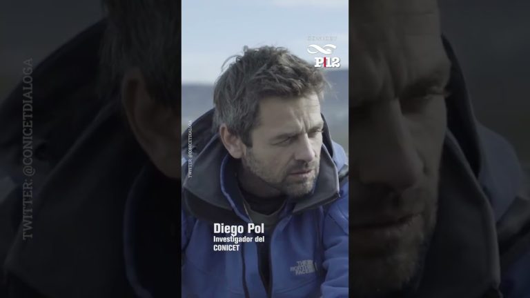 Investigadores del Conicet hallan un dinosaurio herbívoro ancestral en la Patagonia: el Titán de la Sal