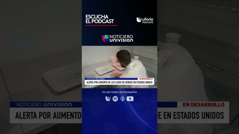 Nueva ola de calor después de la lluvia, con un índice que evalúa el riesgo de picaduras de mosquitos en el hogar