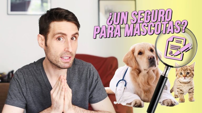 Costos de seguros para mascotas y alternativas de atenci&oacute;n p&uacute;blica en tiempos de inflaci&oacute;n