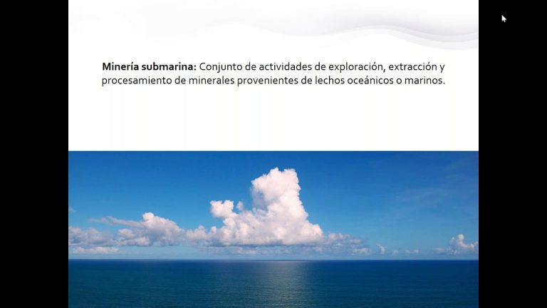 Extracción marina: la búsqueda intensiva de litio y metales valiosos en el fondo oceánico, un nuevo riesgo para el ecosistema marino