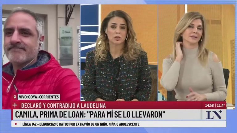 Gendarmería auxilia a primate encontrado en el paragolpes de un vehículo en Formosa