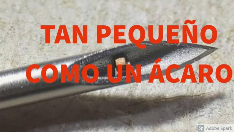 La mayor aseguradora de salud nacional ajusta su incremento de mayo: detalles sobre el menor aumento y el contenido de la notificación