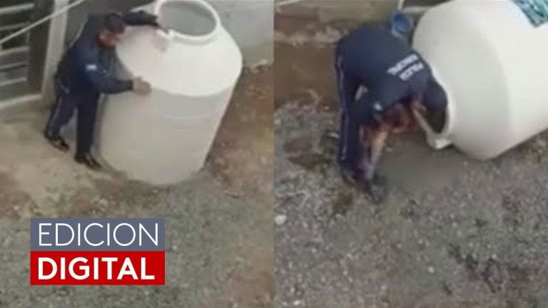 Tragedia en Formosa: hallan sin vida a niña de 5 años desaparecida; madre y padrastro arrestados