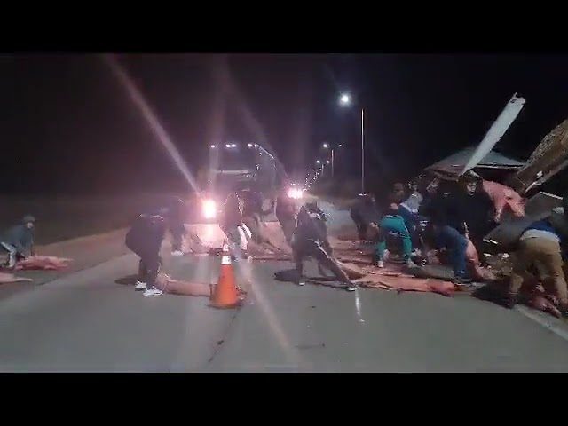 Accidente fatal de camión de alimentos y saqueo del cargamento por vecinos indiferentes