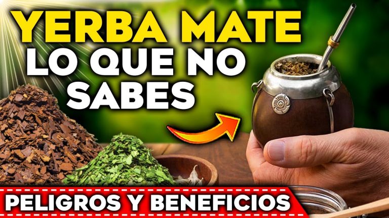 Beneficios de reutilizar yerba mate en tus plantas de interior.