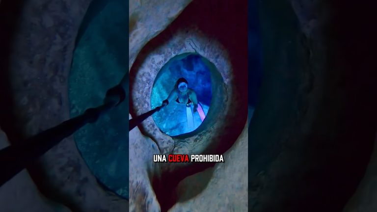 Dos mujeres encontradas tras perderse durante una excursión en El Bolsón: sobrevivieron dos noches con temperaturas extremas