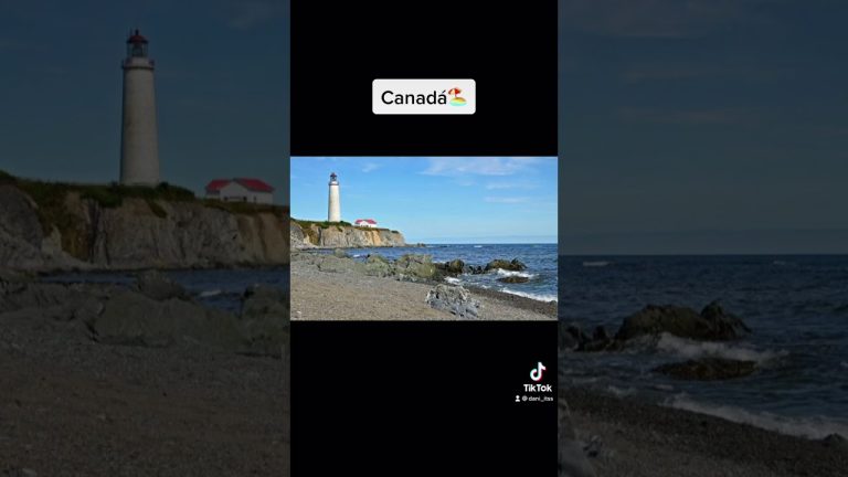 El enigma del cuerpo hallado tras ser arrastrado más de 20 km bajo un microbús