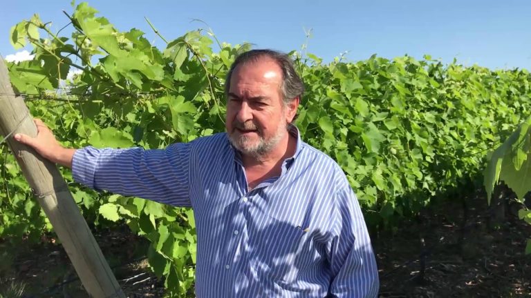 El papel del vino en el futuro de argentina según michel rolland