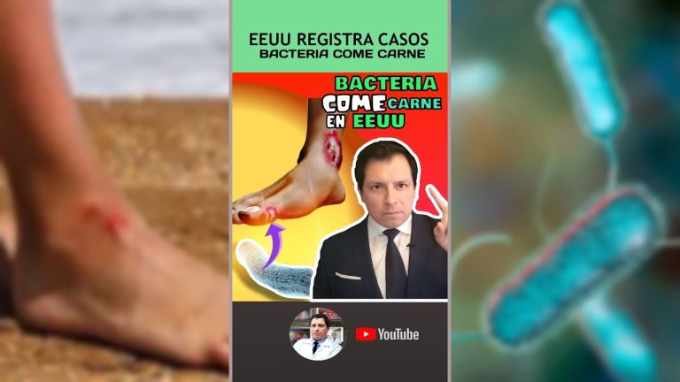 Impactante hallazgo sobre el aumento de casos de infecciones alimentarias por bacteria
