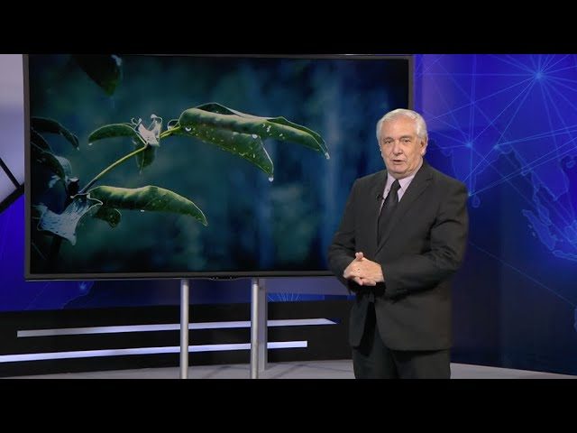 Lluvias en un día alcanzaron casi todo el promedio mensual de mayo