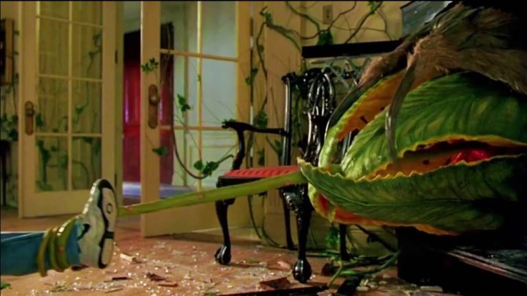 Plantas depredadoras dignas de un film de terror