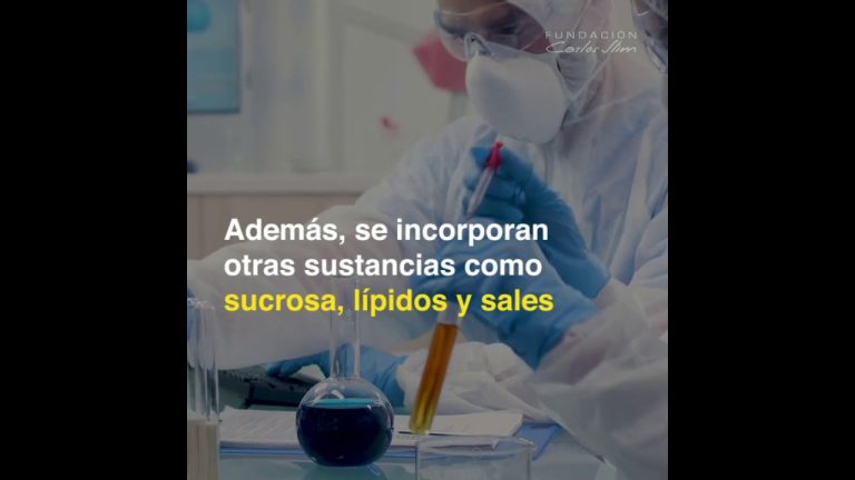 Razones detrás del discurso del ministro sobre la efectividad de las vacunas tras recibir a un destacado visitante