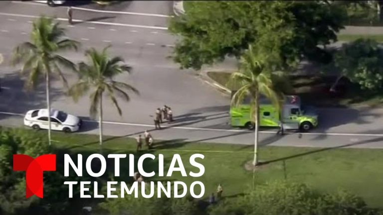 Se sospecha que una madre habría asesinado a su hijo autista antes de quitarse la vida