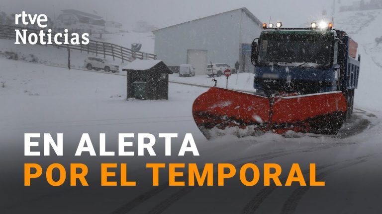 Temporal de viento y lluvia provoca caída de árboles y cortes de rutas en Neuquén; nevadas dificultan el tráfico en la cordillera