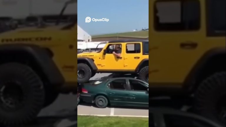 Temporal derriba árboles y aplasta autos en Misiones: accidente mortal en Oberá de una mujer tras perder el control de su camioneta