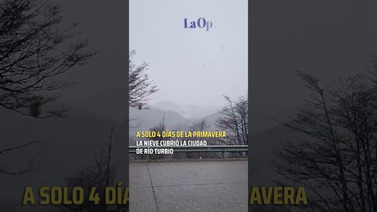 El SMN anticipa sorpresivas nevadas en el AMBA: fechas y ubicaciones