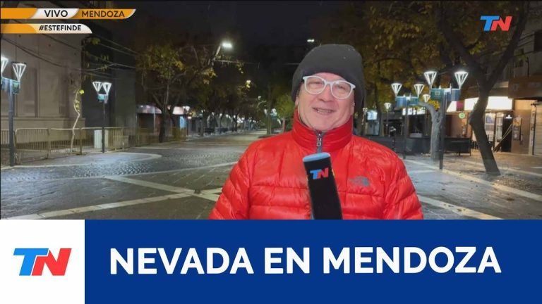 Frío extremo y alerta: temperaturas bajo cero y fuertes nevadas en áreas urbanas de dos provincias argentinas