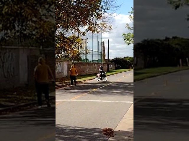 Motociclistas en Mar del Plata: alcalde solicita medidas contundentes para detenerlos