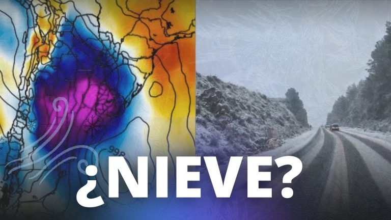 Nevadas sorpresivas en Buenos Aires: el pronóstico se hizo realidad en el Conurbano y los residentes del AMBA disfrutaron del evento