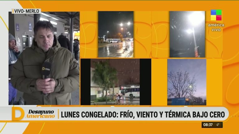 Videos destacados de usuarios en redes sociales durante la nevada en el conurbano bonaerense debido a la ola polar