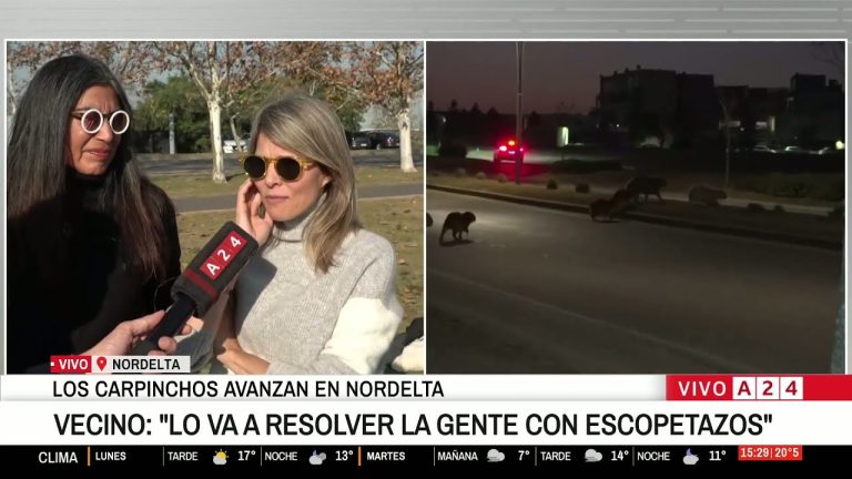 Autoridades resuelven el conflicto de los carpinchos en Nordelta y ordenan su traslado